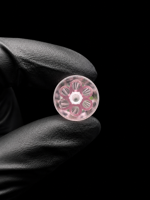 Crisp Tipz 10MM